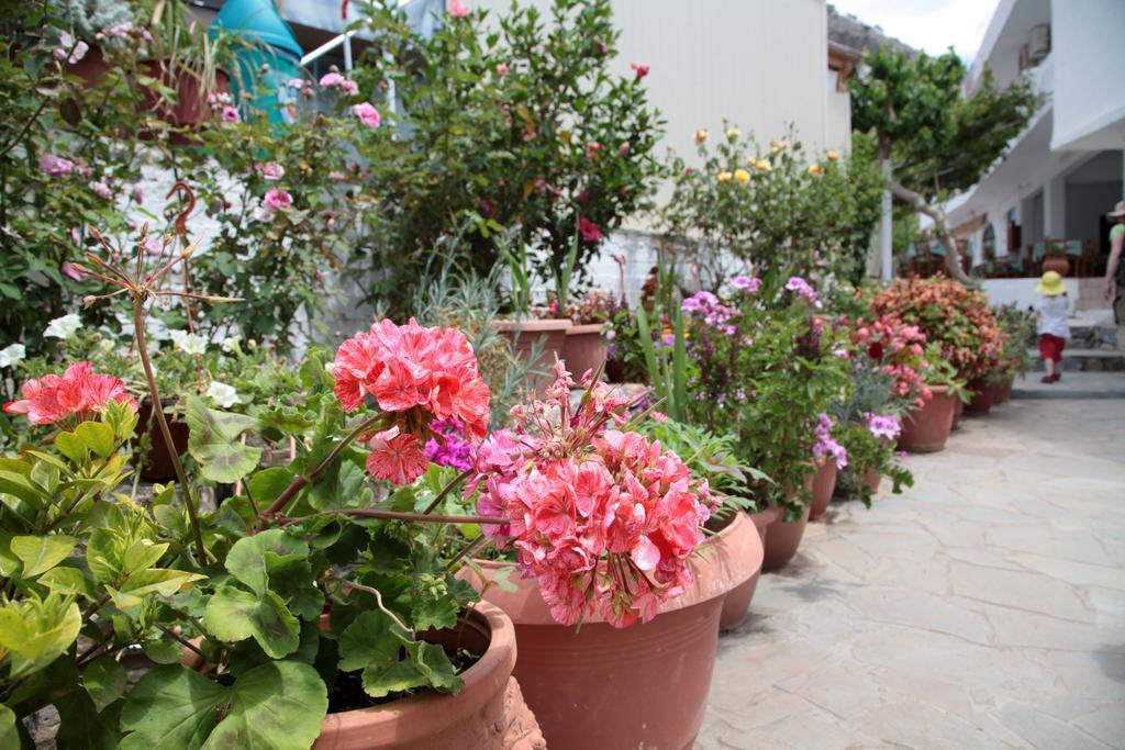 Paralia Guest House Agia Roumeli Exterior photo