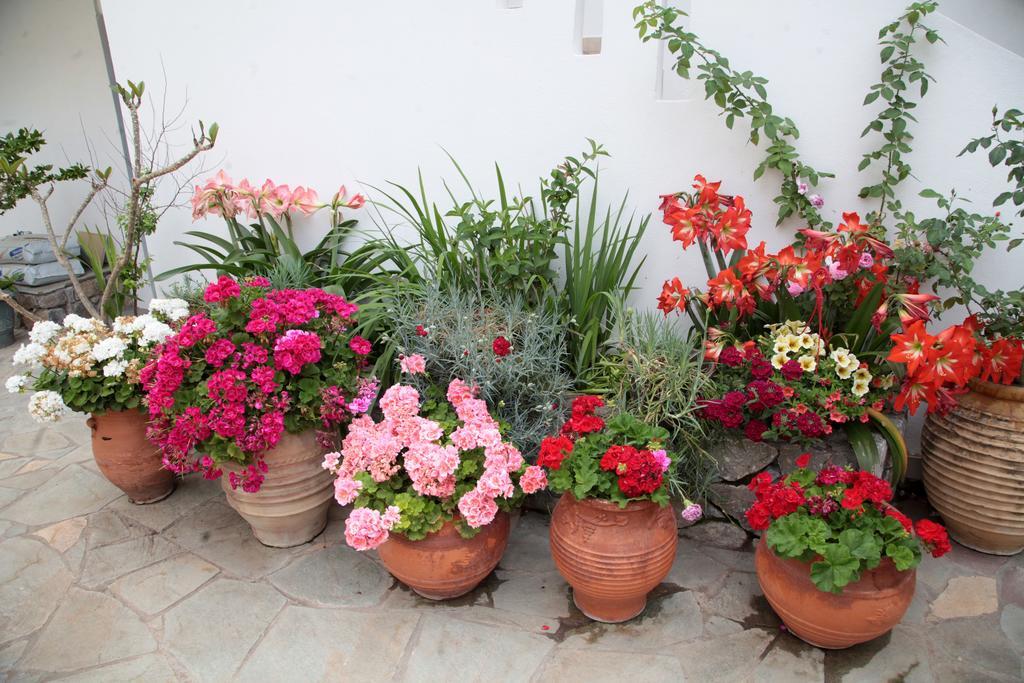 Paralia Guest House Agia Roumeli Exterior photo