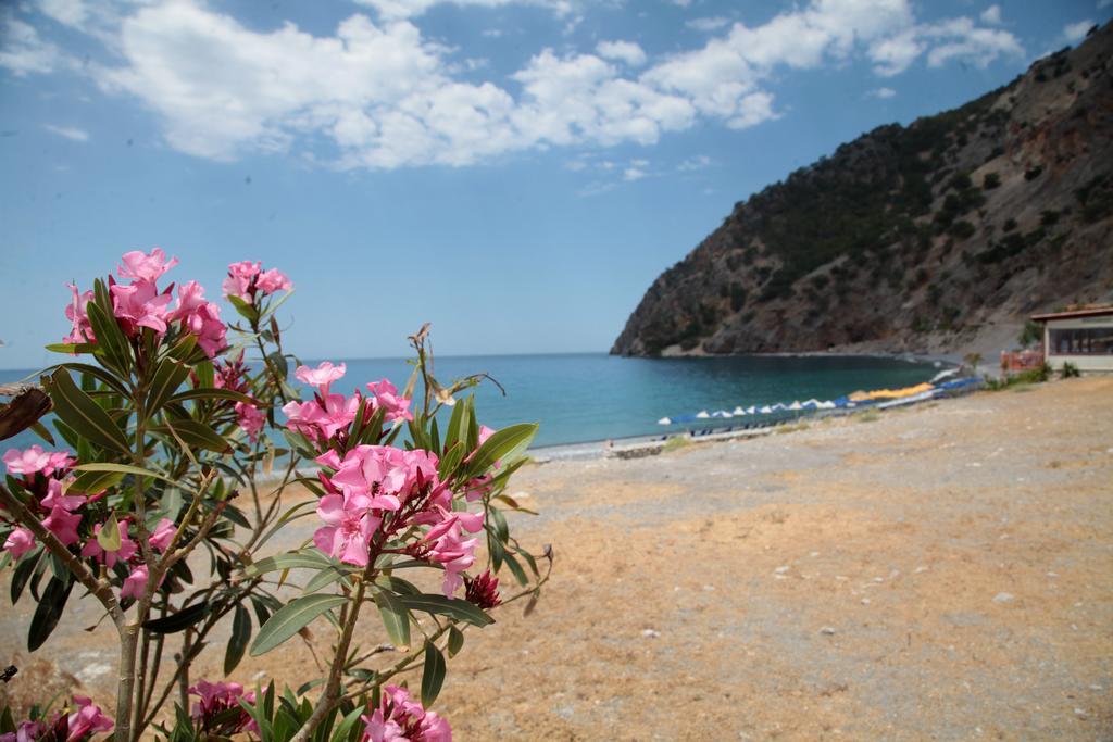 Paralia Guest House Agia Roumeli Exterior photo