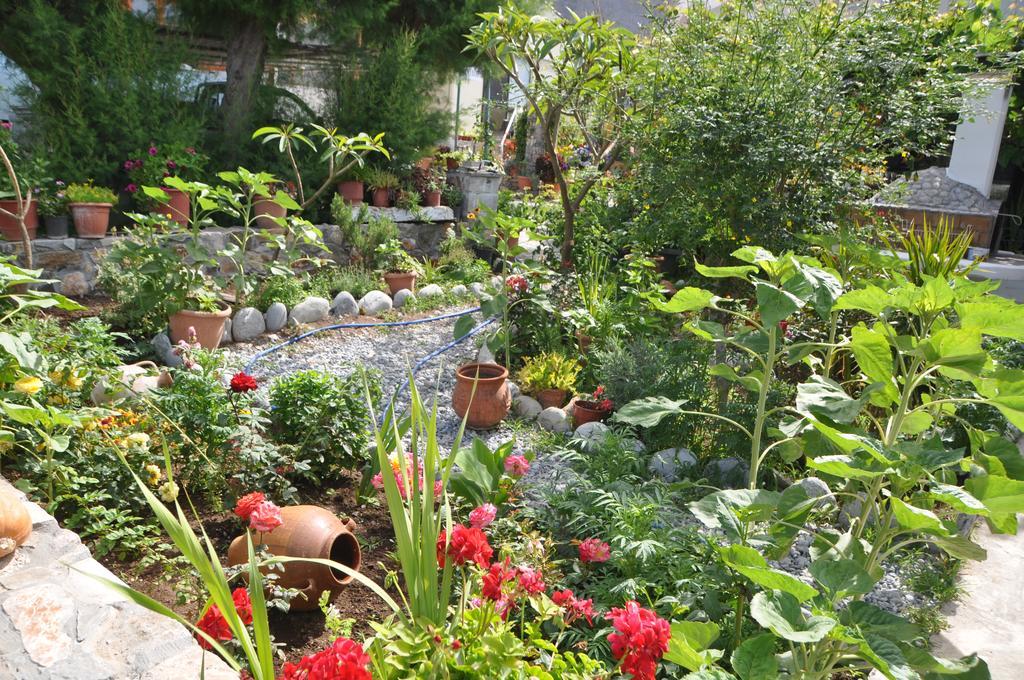 Paralia Guest House Agia Roumeli Exterior photo