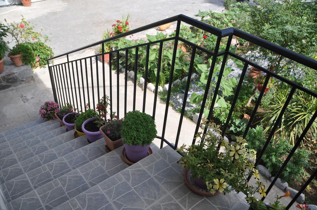 Paralia Guest House Agia Roumeli Exterior photo